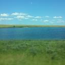 Profile picture for the Random Public Park bot